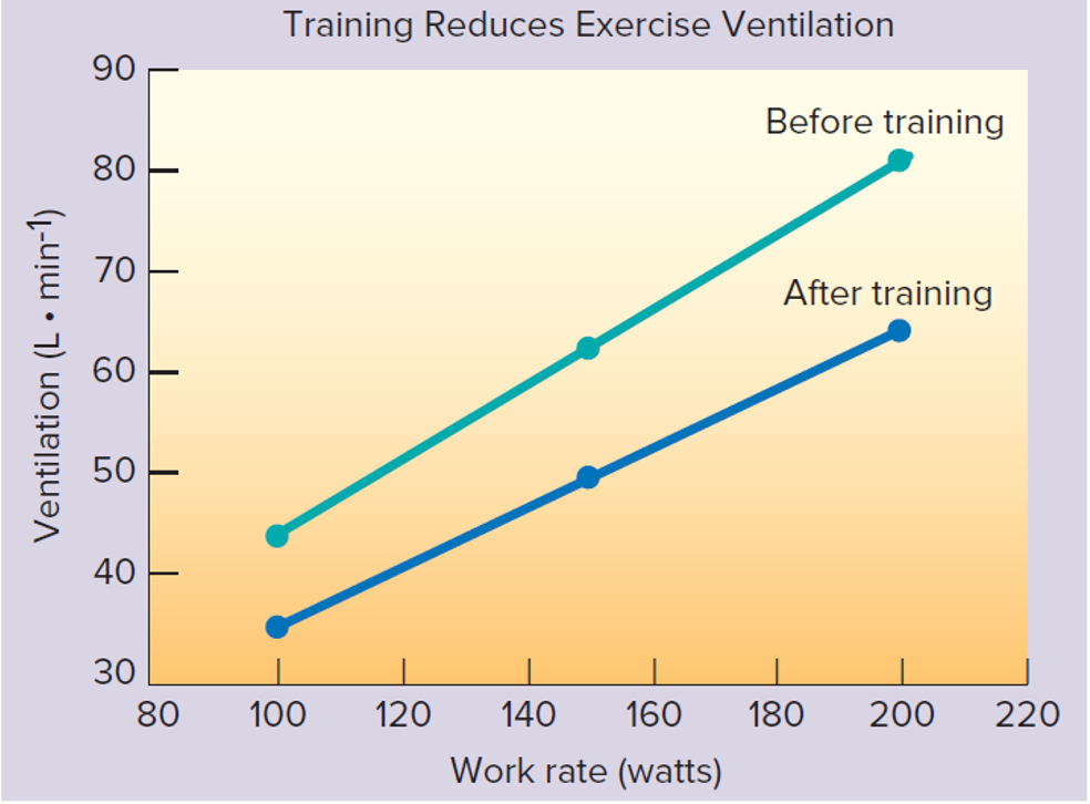 <p>It causes  ventilation to be lower</p>
