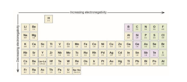 <p>Increases becease theres more protons pulling electrons closer </p>