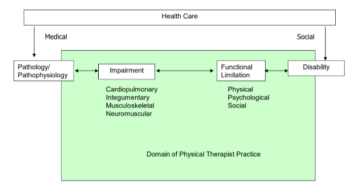 <p>this diagram shows what model</p>