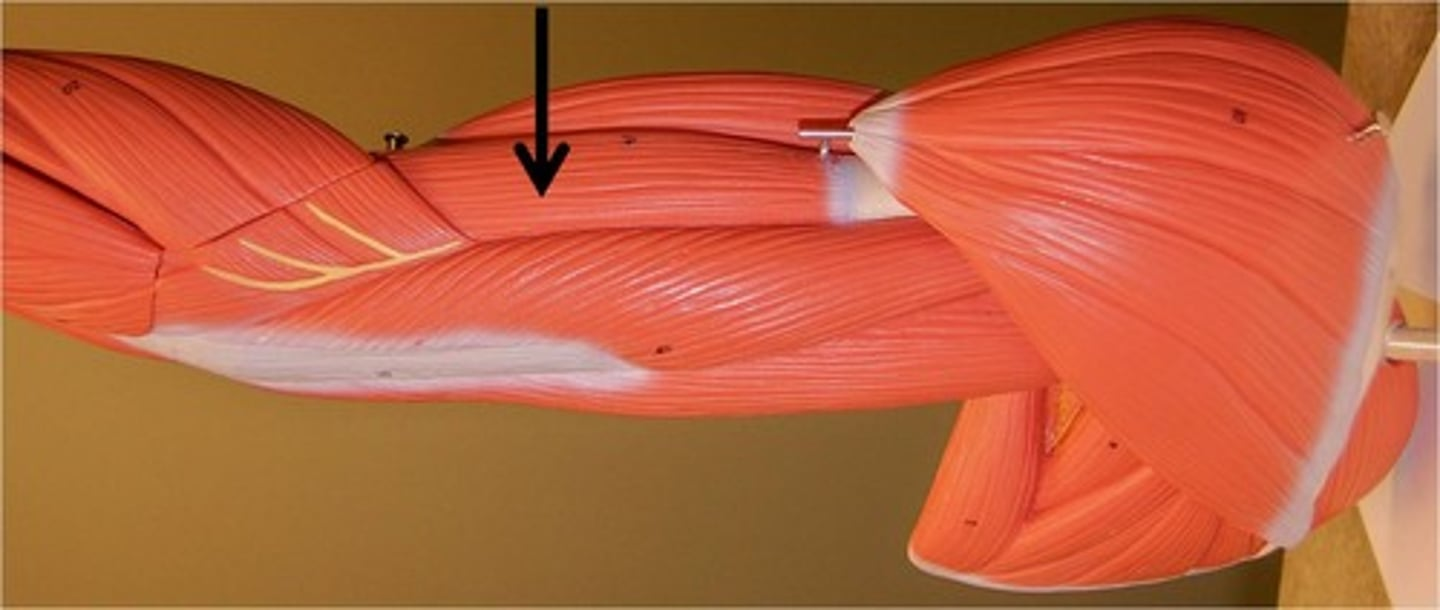 <p>What is this and what does it do?</p>