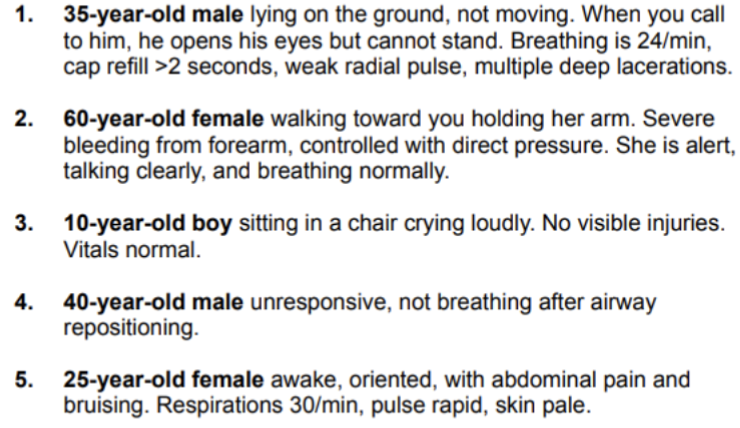 <p>triage scenarios pt.2</p>