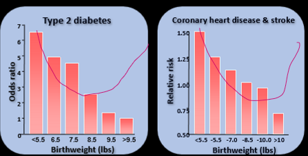 <p>Lower birth weight leads to higher risk with -ve correlation, These data have been replicated, new shape is u shape, So something happening w pancreas<span> </span>and periph vasc and heart respectively changing disease trajectory, Low weight babies grow differently, Changed field of research, Always about what you're doing currently at drs, not fetal, Weve bever considered it before, Its those first 1000 days</p>