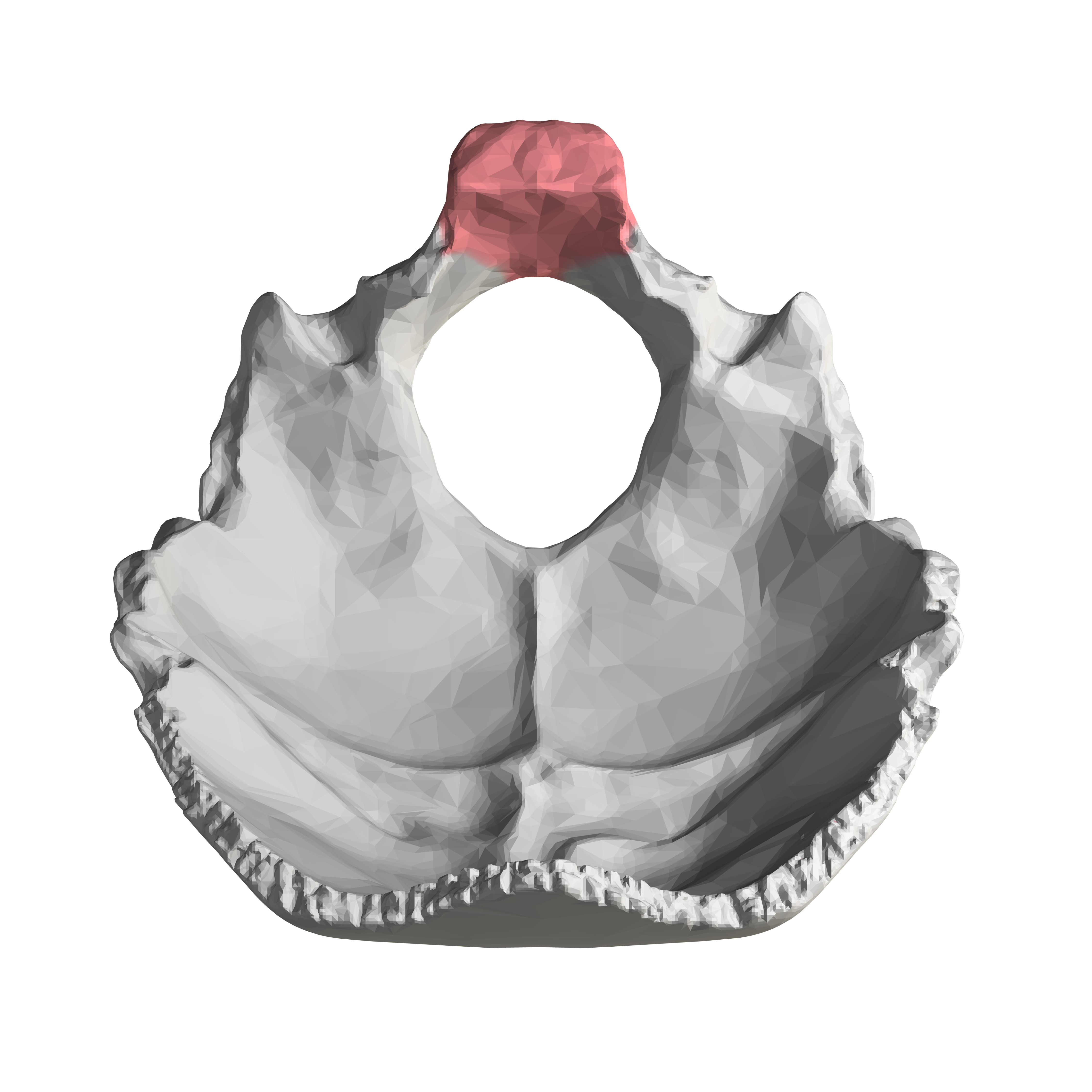 <p>What structure is this?</p>