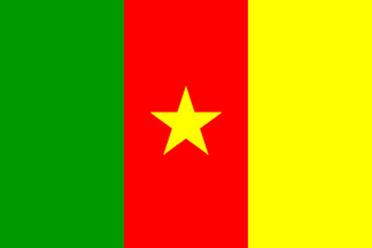 <p>le Cameroun, camerounais (2x)</p>