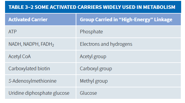 <p>Activated carriers are usually generated in reactions coupled to ATP hydrolysis cuz they r unfavorable to make</p>