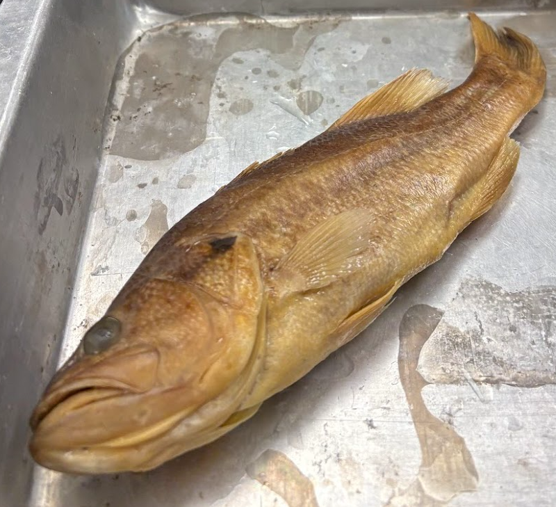 <p><span style="background-color: transparent;">Micropterus salmodes</span></p>