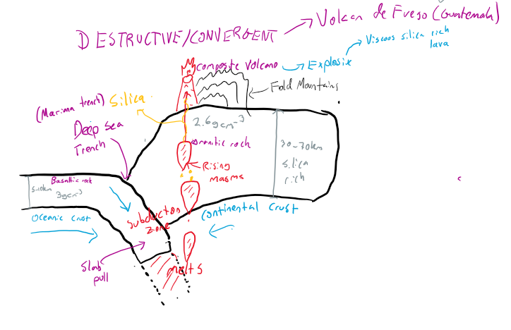 <ul><li><p>Reverse faulting</p></li><li><p>Oceanic plate subducts</p></li><li><p>Fold mountains, stratovolcanoes, trench</p></li><li><p>Drives process of slab pull</p></li></ul><p></p>