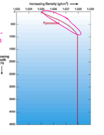<p>the rapid change of density with depth</p>