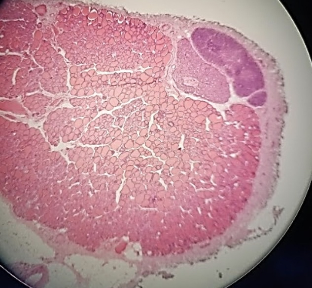 <p>what is this a sample of?</p>