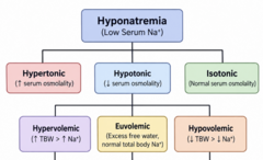<p>Hypotonic.</p>