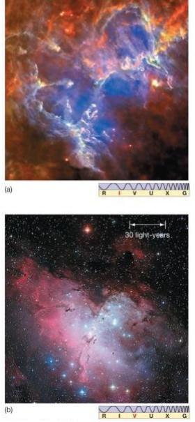 <ul><li><p>Infrared shows structures hidden by dust that visible light cannot penetrate.</p></li><li><p>taken by Herschel Space</p></li></ul><p></p>