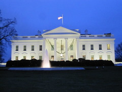 <p>white</p>