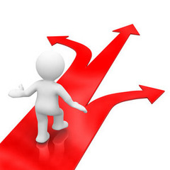 <p>choice, election</p>