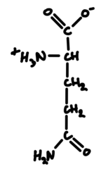 knowt flashcard image