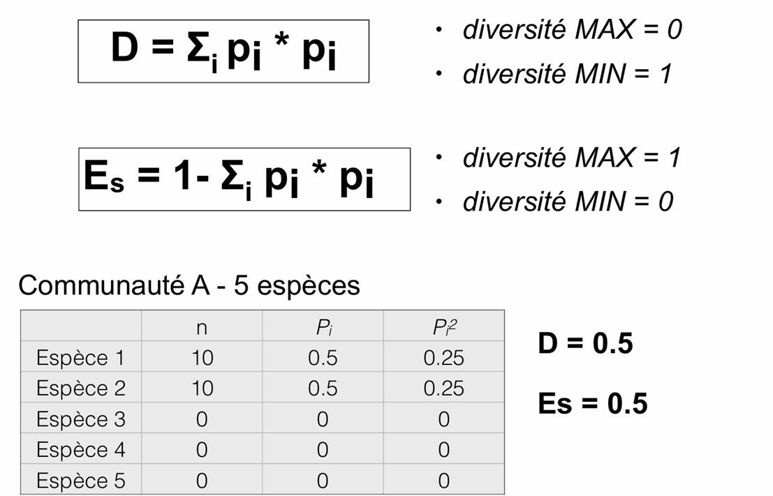 <p>Pour faciliter l’interprétation écologique, on utilise souvent la forme corrigée de l’indice de Simpson, appelée diversité de Simpson corrigée : ES = 1 − D. Dans ce cas, la valeur augmente avec la diversité biologique. </p><p>Une valeur proche de 1 indique une communauté très diversifiée et équilibrée, tandis qu’une valeur proche de 0 indique une faible diversité et une forte dominance d’une espèce.</p>