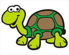 <p>la tortuga</p>