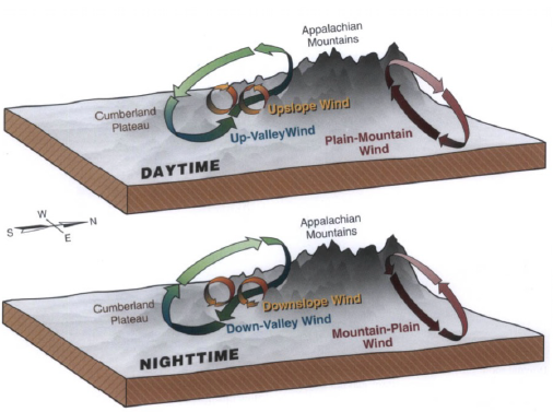 <p>slope winds</p><p>valey winds</p><p>plane-to-mountain winds</p>