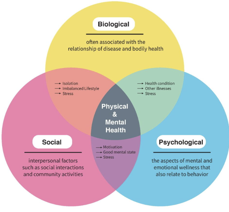 <p>biopsychosocial model </p>