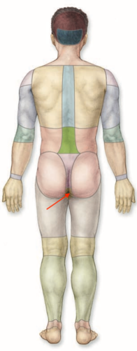 <p>what is this section called?</p>