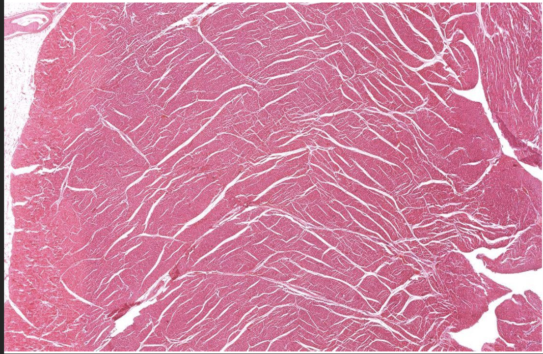 <p>Identify Which partition this is and Where?</p>