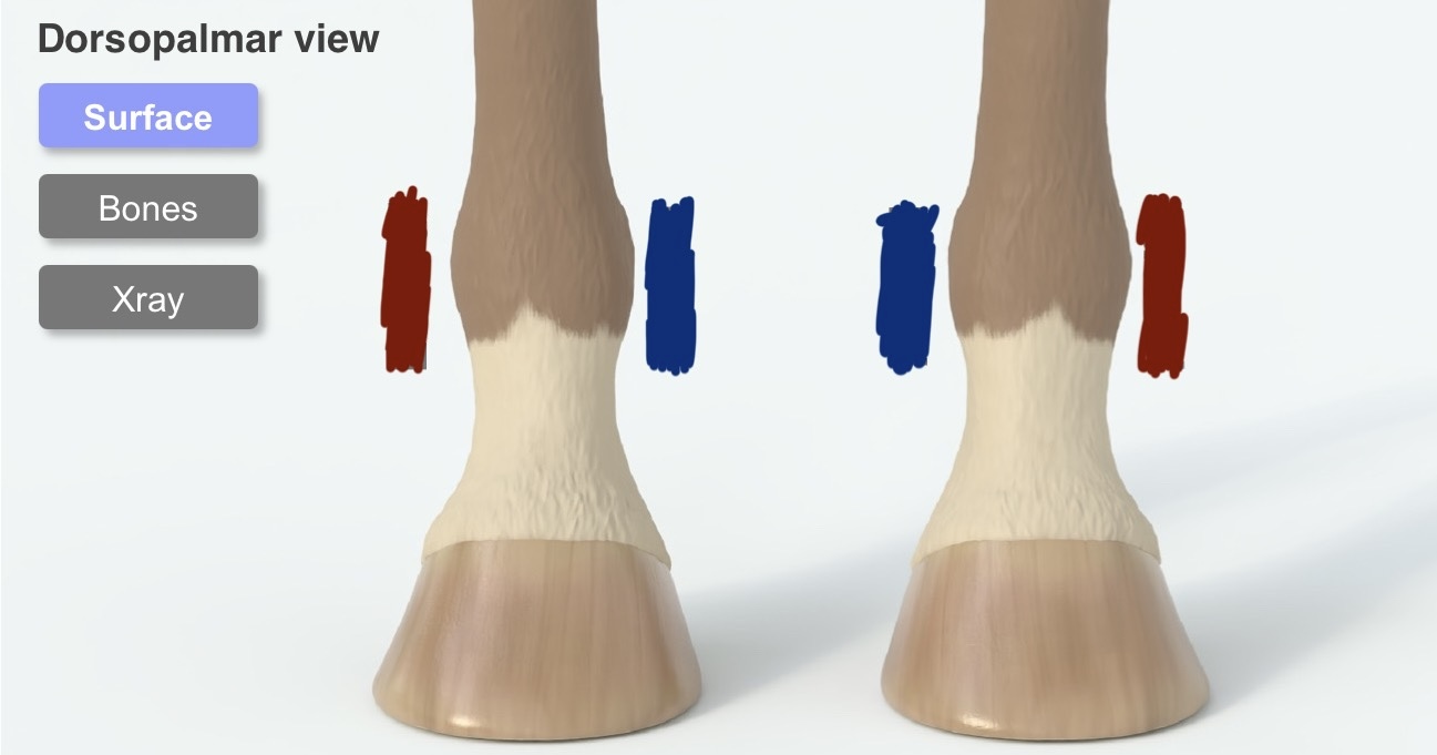<p>What is in red?, What is in blue?</p>