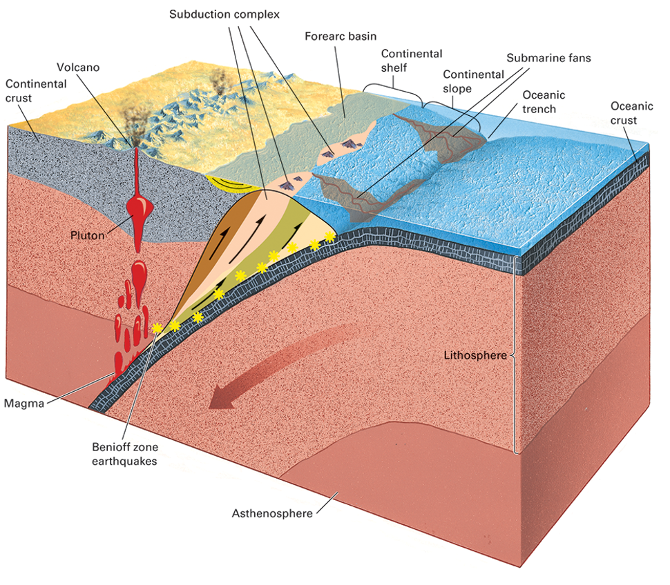 <p>what is happening in this picture?</p>