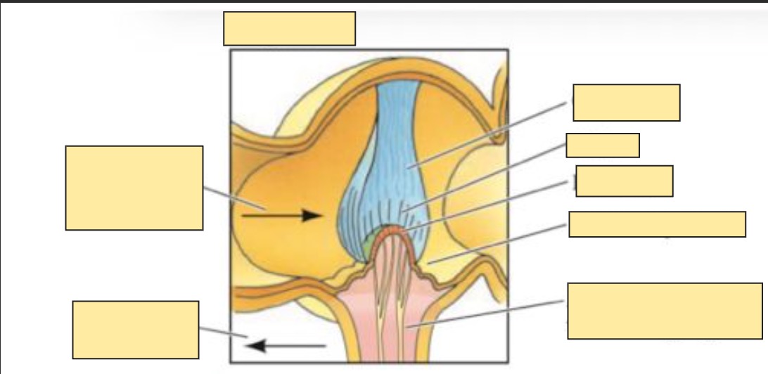 <p>Left to right clockwise</p>