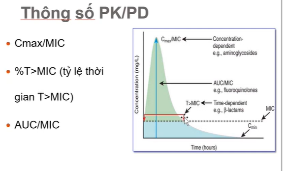 <p>Phân loại thuốc dựa vào dược động-dược lực</p>