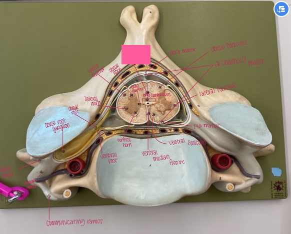 <p>What is being shown? </p>