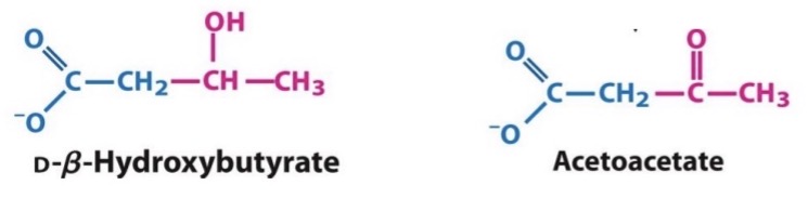 <p>Acetoacetate can be reduced to make β-hydroxybutyrate using NADH.</p>