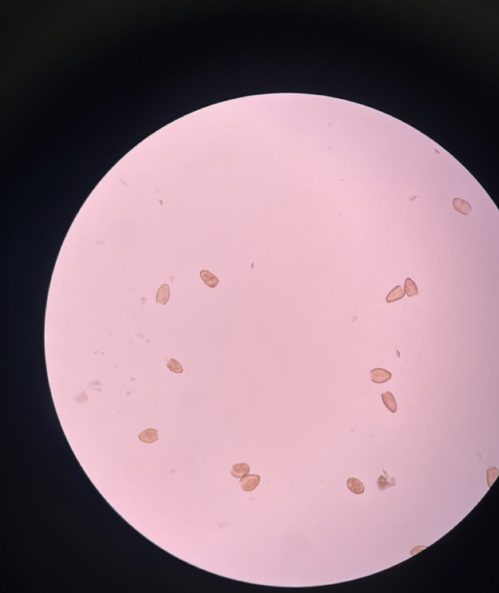 <p>What is this?</p>