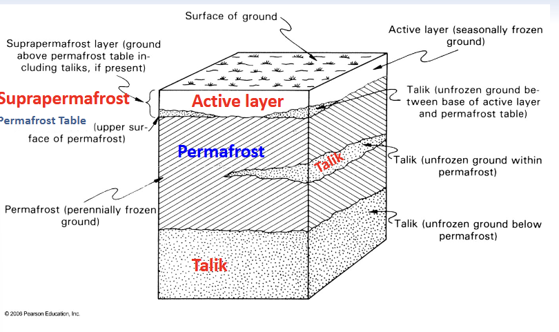 <p>← look closely at diagram</p>