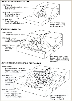 <p>Fan-shaped splay formed when rivers spill out from a confined mountain valley onto the basin floor. Avulsion happens as floods occur, and splitting streams divert to the steepest slope. Characterized by upward thickening/coarsening</p><p>formed through braided streams, debris flows, and meandering</p>