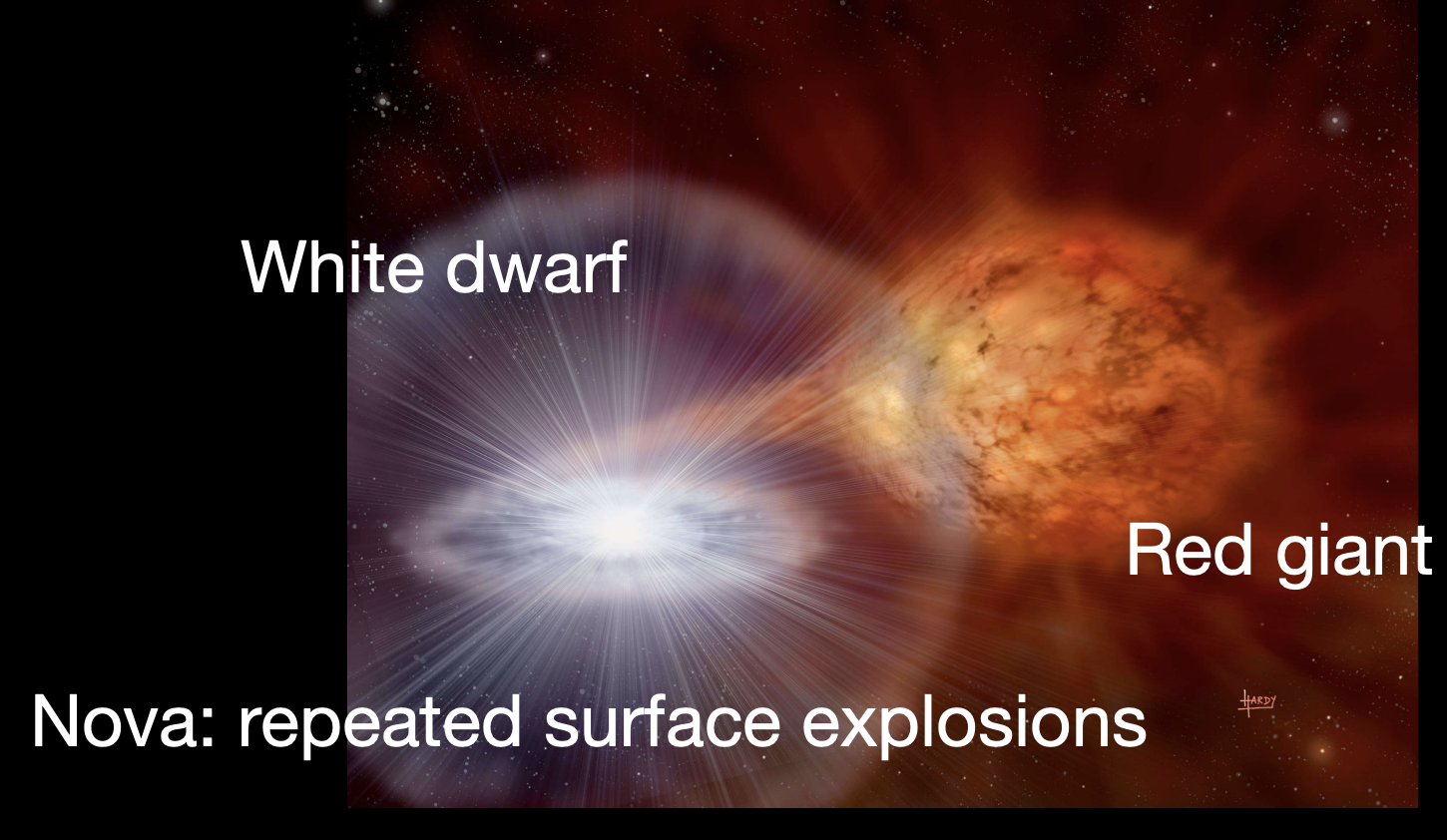 <p>Consists of two astronomical objects, typically stars, orbiting a common center of mass due to their mutual gravitational attraction</p><p>Also: Nova’s are repeated surface explosions on white dwarfs from hydrogen burning when steadily pulling in material</p>