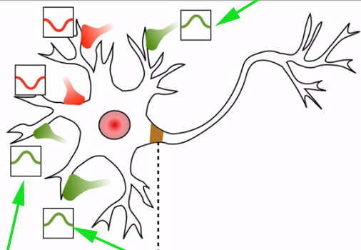<p><span>What type of message are these as shown by the arrows?</span></p>