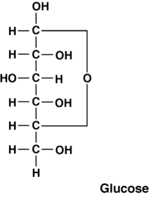 <p>Linear monosaccharides presented vertically with carbonyl carbon at top. </p>