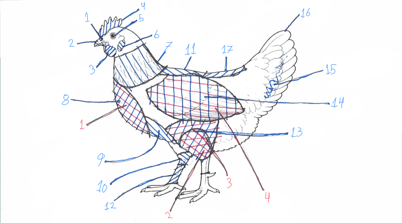 <p>Identify B2</p>