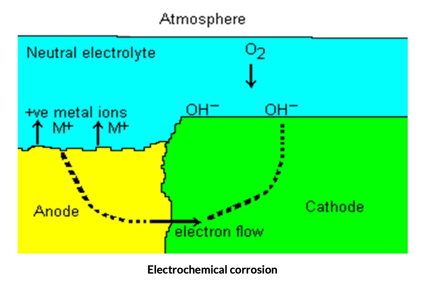 <p>A metal anode, A cathode, An electrolyte, Direct electrical contact between the dissimilar metals</p>
