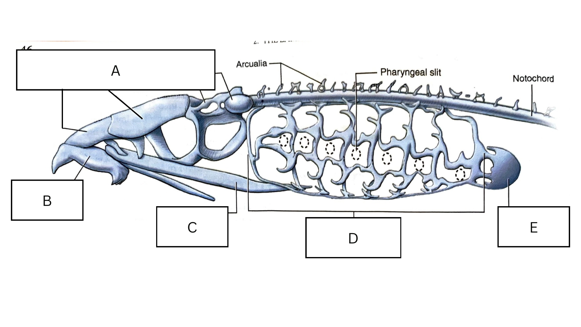 <p>What is D in the following diagram?</p>