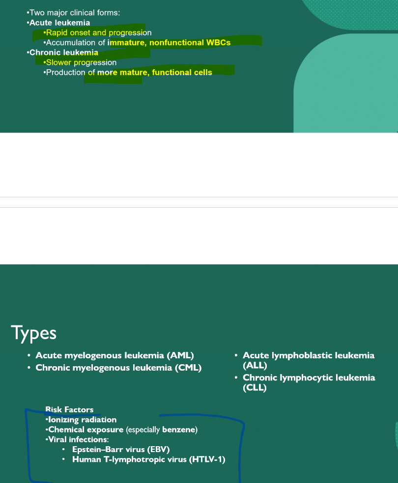 <p>Acute leukemia </p>
