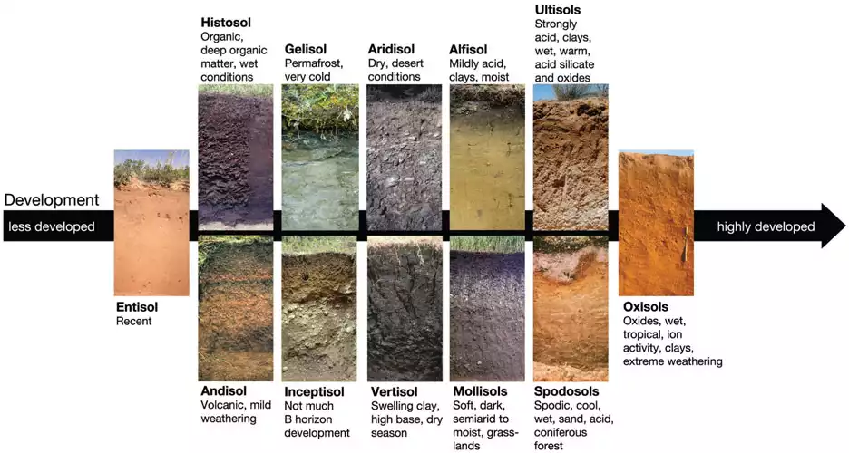 <p>12 kinds; modern soils</p>