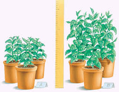 <p>responds to the change made to the independent variable (Data Collected by the scientist)</p>