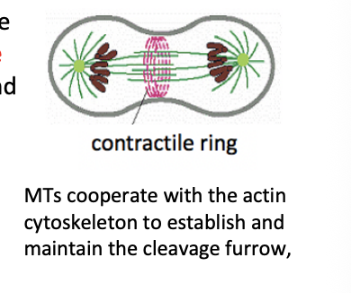 <p><strong>Orthogonal</strong></p>