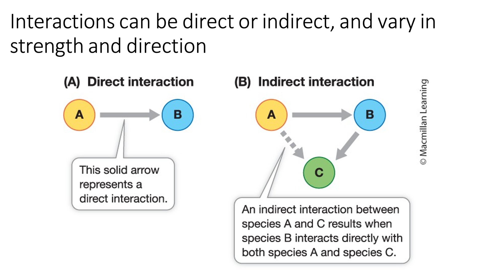 <ul><li><p>Interactions can be direct or indirect, and vary in strength and direction. </p><ul><li><p>Direct often strong, indirect weaker per-say.</p></li></ul></li></ul><p></p>