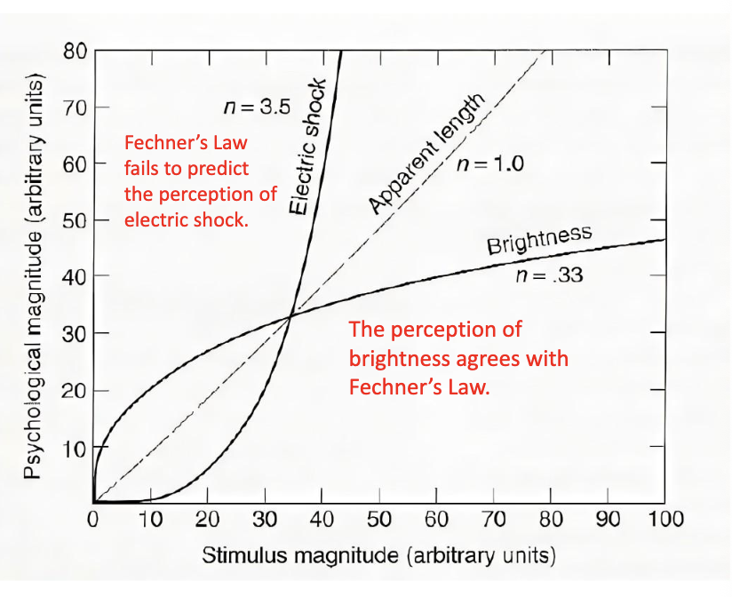 <p><span style="color: rgb(255, 255, 255);">Stevens’ Power Law</span></p><ul><li><p><span style="color: rgb(255, 255, 255);">Modern investigators have found that Weber’s Law is not TRUE for all SENSES</span></p></li></ul><p></p><p>Example:</p><ul><li><p><span style="color: rgb(255, 255, 255);">The perception of pain is the OPPOSITE of what Fechner’s Law predicts. As shown in the graph, a slight increase in stimulus magnitude results in a great increase in perceived magnitude.</span></p></li></ul><p></p>