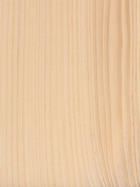 <p>resin canals yellow dots in summerwood X.S., less in # than other species </p><p>resin canal ¼ to ½ inch streak on tangential surface </p><p>gradual transition between springwood and summerwood </p><p>lighter color, lighter weight than other species </p>