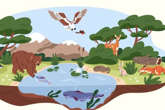<p>biodiversity (n) <span>/ˌbaɪəʊdaɪˈvɜːsəti/</span></p>