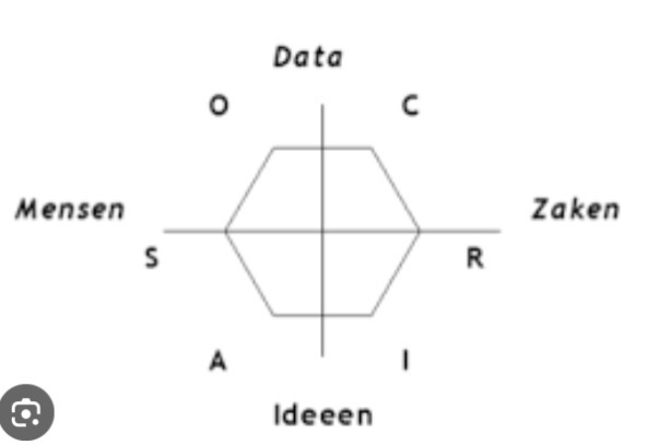 <p>Voegt 2 dimensies toe aan Hollands model</p><p>Mensen VS zaken</p><p>Data VS ideeën </p>