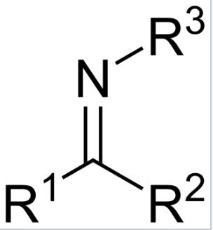 <p>Forms when a primary amine reacts with an aldehyde/ketone</p>