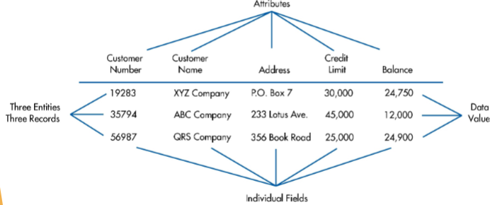 <p>master/transaction files</p>